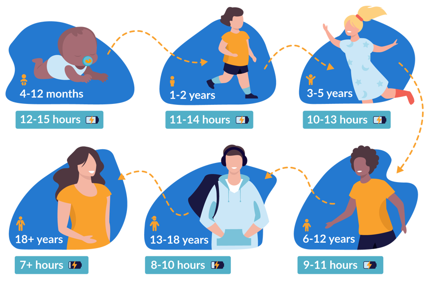 life sleep cycle